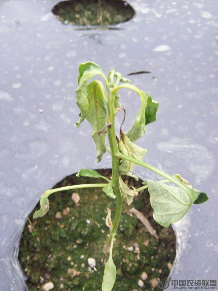 附件