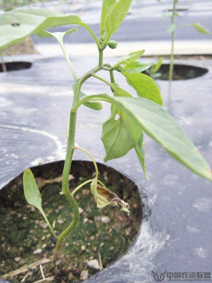 附件
