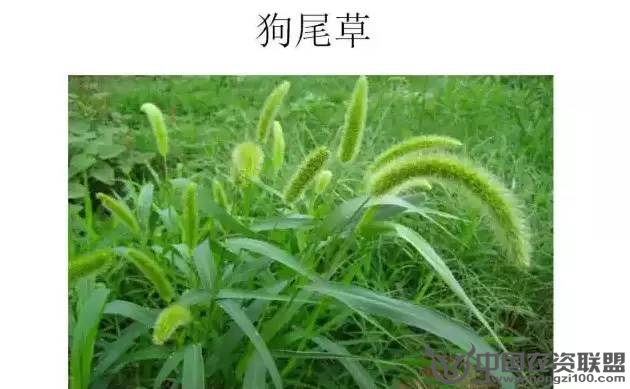附件