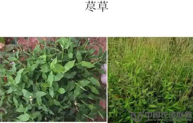 附件