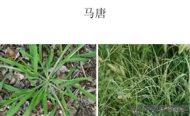 附件