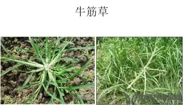 附件