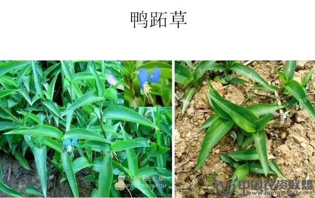 附件