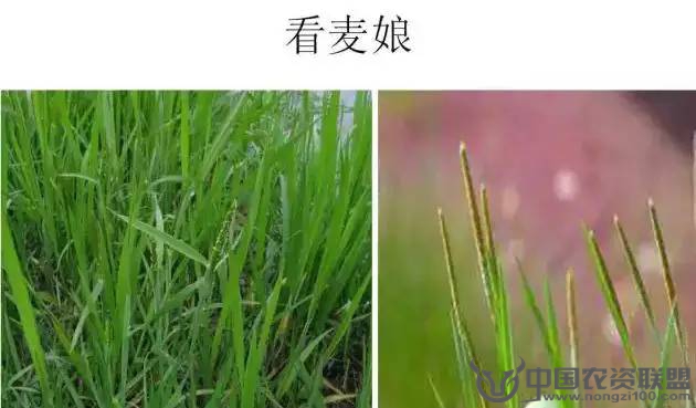 附件