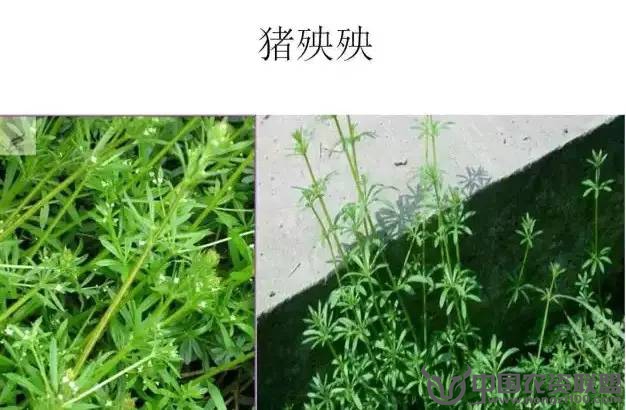 附件