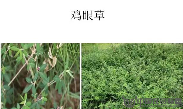 附件