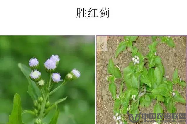 附件