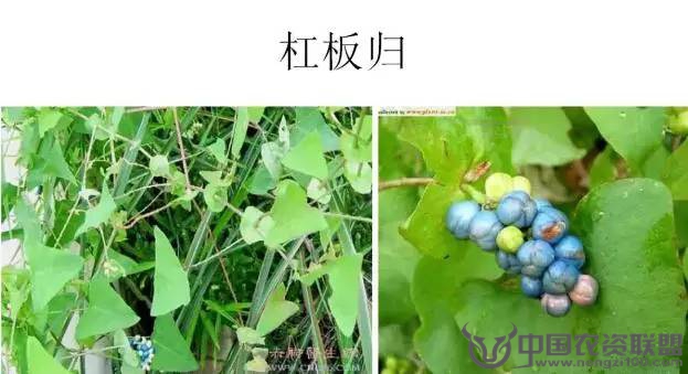 附件
