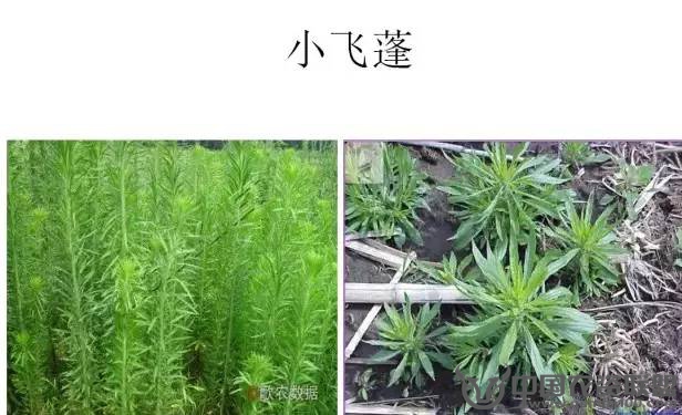 附件