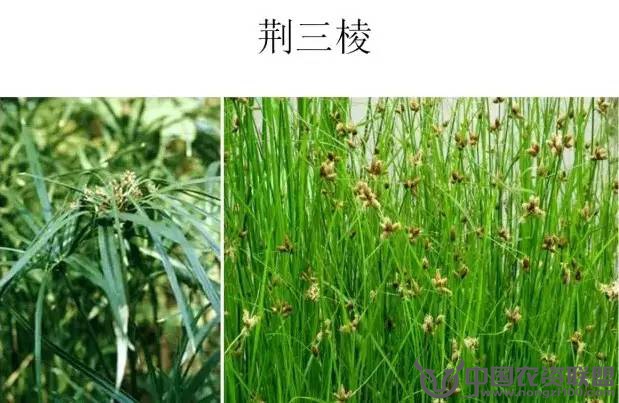 附件