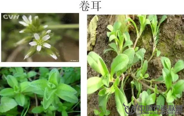 附件