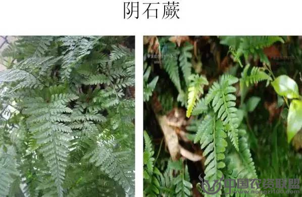 附件