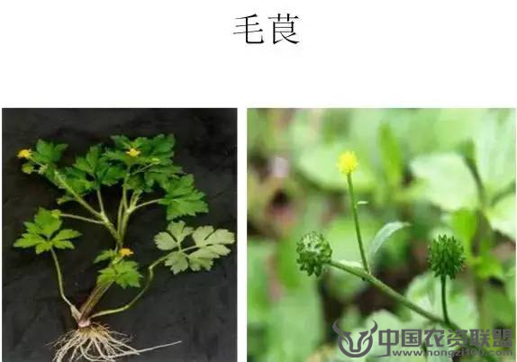 附件