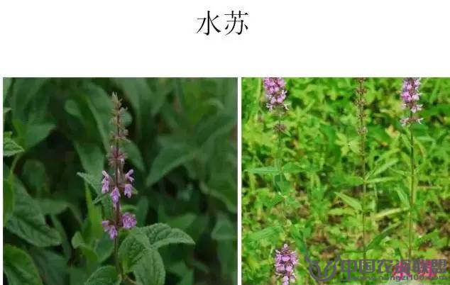 附件