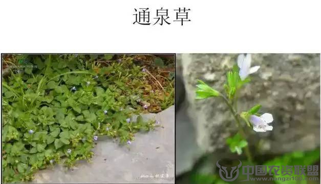 附件