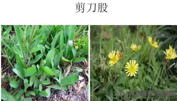 附件
