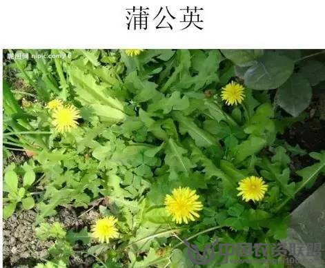 附件