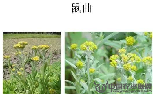 附件