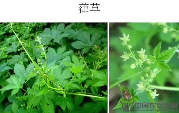 附件