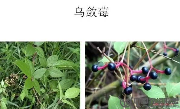 附件