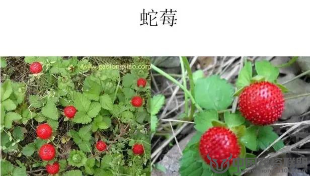 附件