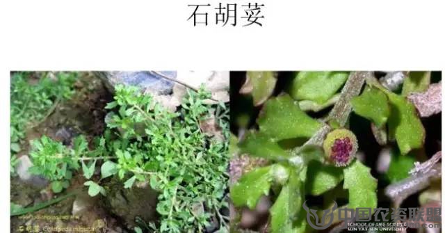 附件