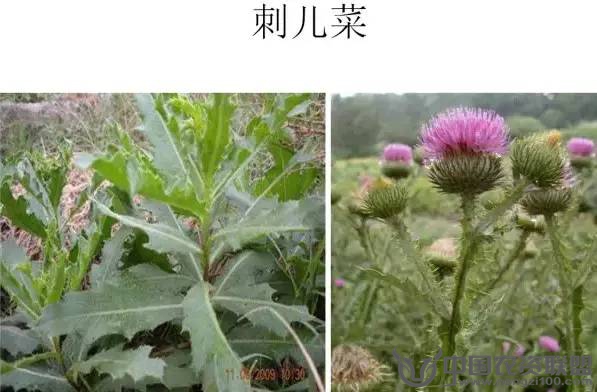 附件