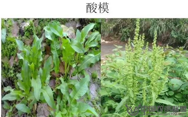 附件