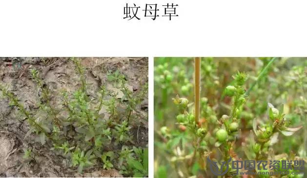 附件