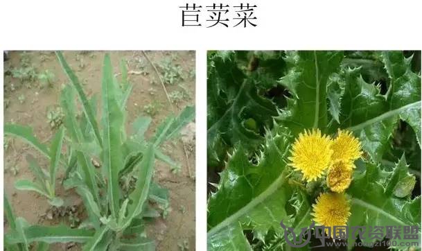附件