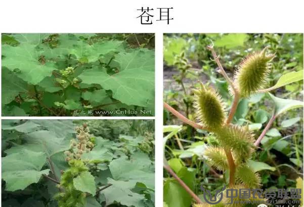 附件