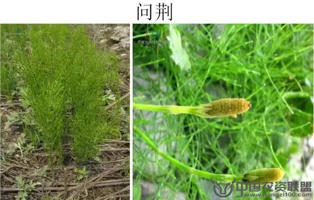 附件
