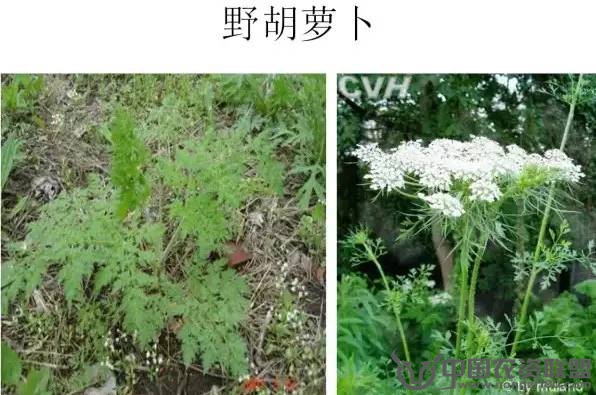 附件
