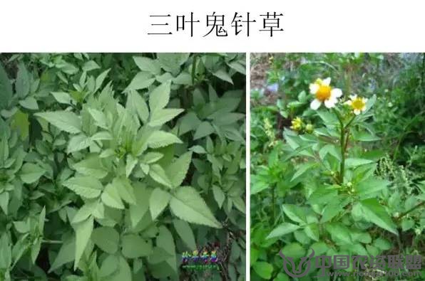 附件