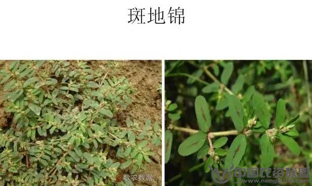 附件