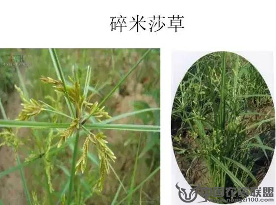 附件