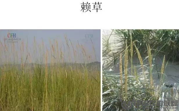 附件