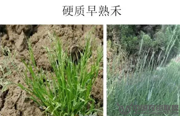 附件