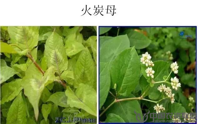 附件