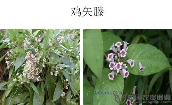 附件