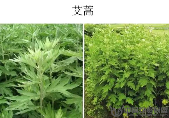 附件