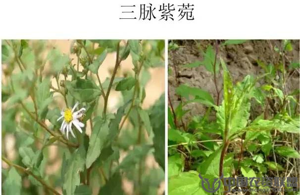 附件
