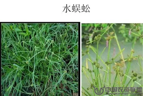 附件