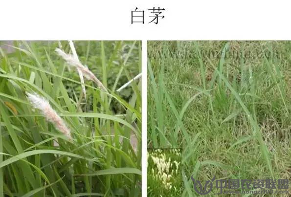 附件