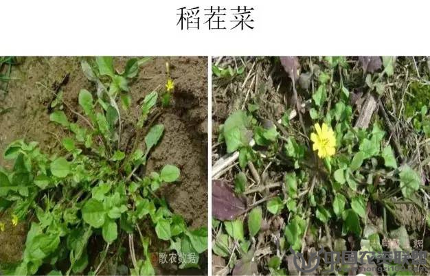 附件