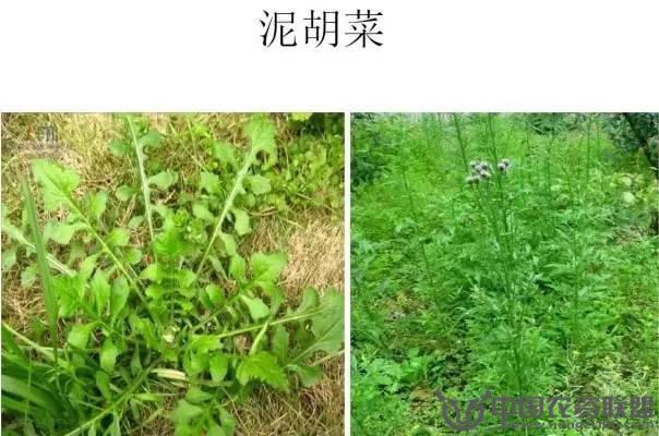 附件