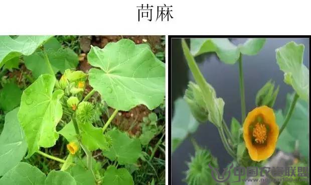附件