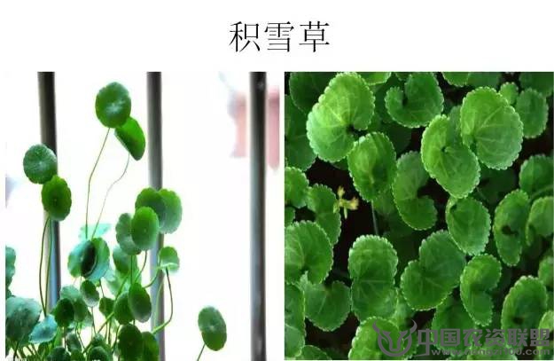 附件