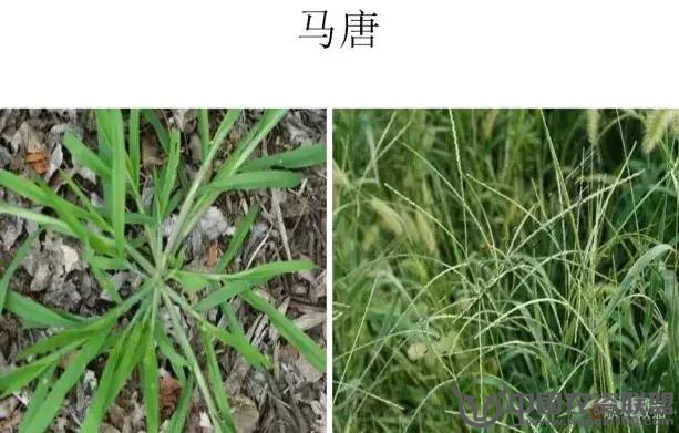 附件