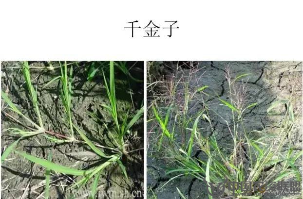 附件